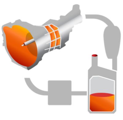 Transmission Fluid Exchange
