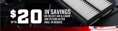 Air and Cabin Air Filter Savings