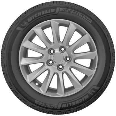MICHELIN Defender LTX MS2 View 1