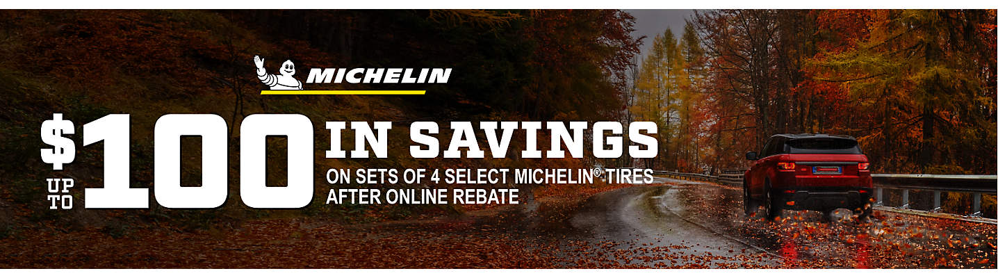 MICHELIN Up to $100 online rebate