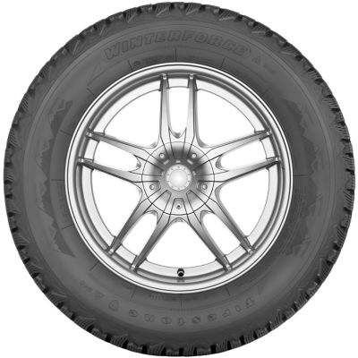 FIRESTONE Winterforce View 3