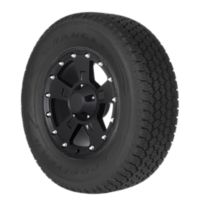 Goodyear