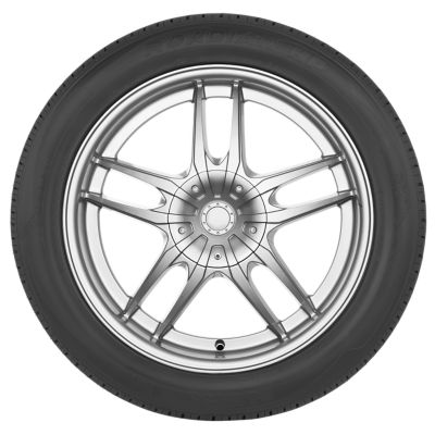 NEXEN Roadian HP View 2