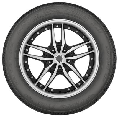 VOGUE Custom Built Radial View 4
